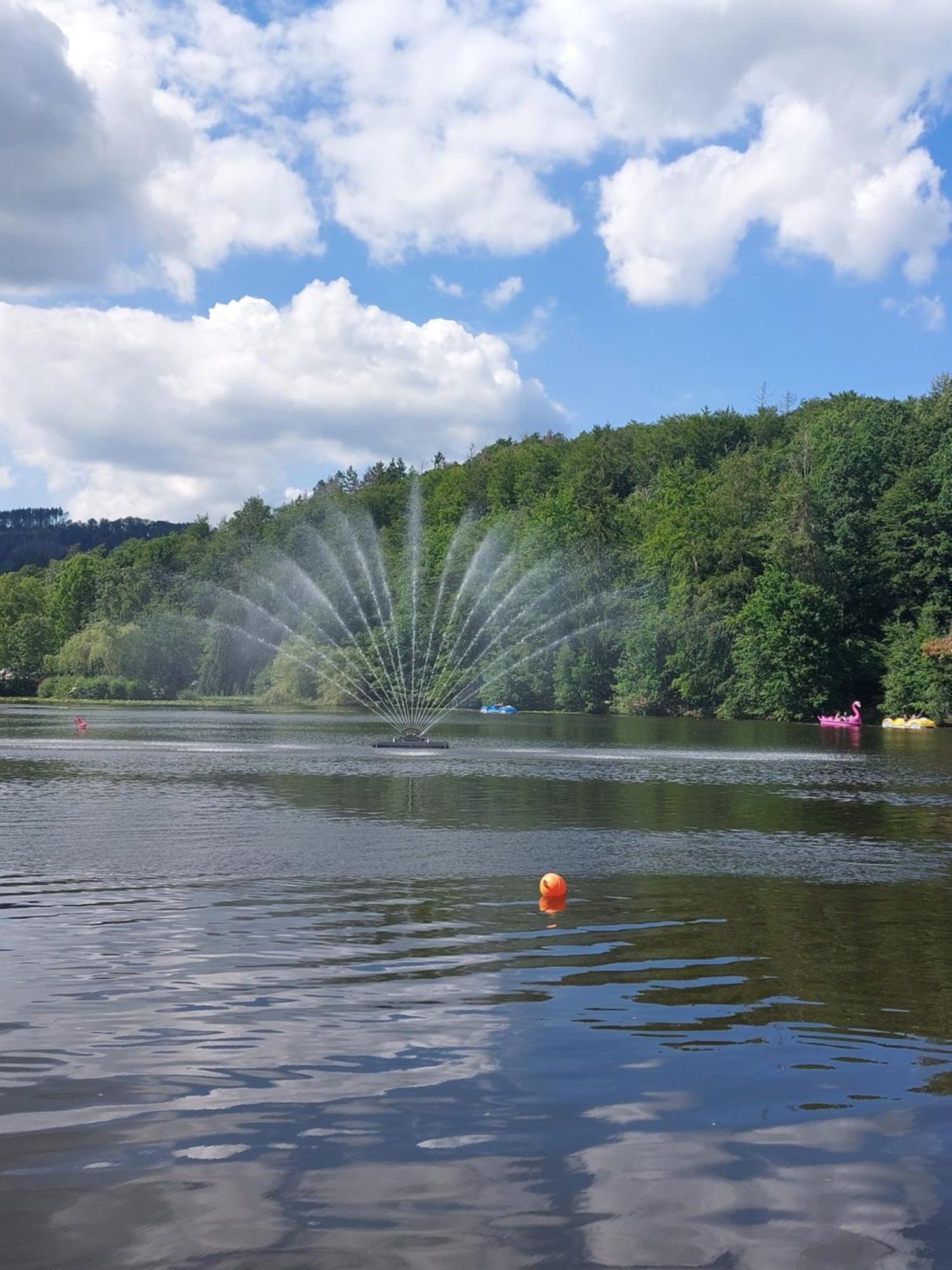 Ferienwohnung Gipfelglueck Mit Fernblick Und Strandkorb Bad Sachsa Esterno foto